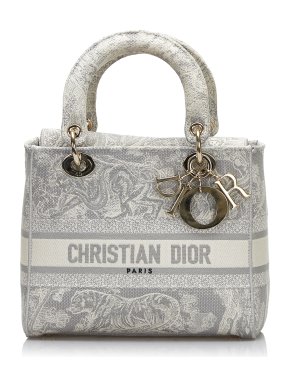 Dior Grey Medium Toile de Jouy Lady D-Lite