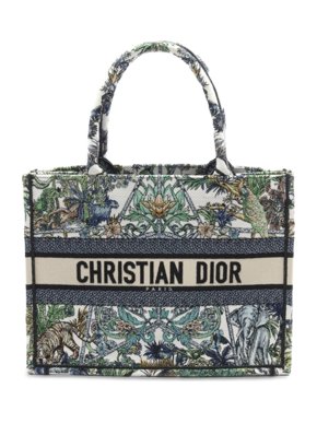 Dior Medium Embroidered Etoile De Voyage Book Tote