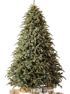 Balsam Hill Noble Fir Artificial 7ft Christmas Tree