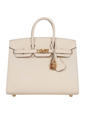 Hermès Epsom Sellier Nata Birkin 25 With Gold Hardware 1