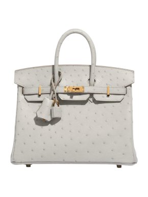 Hermès HSS Autruche Gris Perle Birkin 25 With Gold-tone Hardware 1