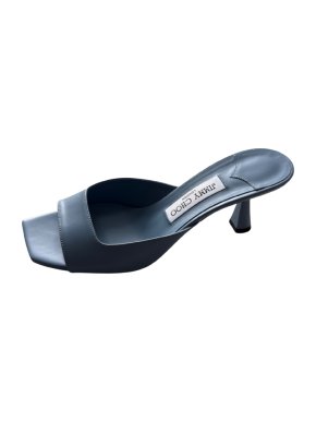 Jimmy Choo Skye 70 Mules in Blue 1