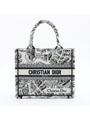 Dior Small Canvas Book Tote 1