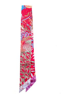 Hermes Hermès Paris Multi Silk Twilly