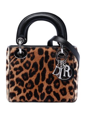 Dior Leopard Print Mini Pony Hair Lady Dior