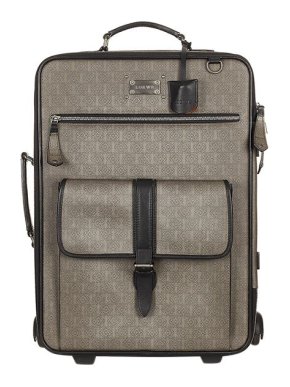 Loewe Vintage Grey Amazona Canvas Trolly Case