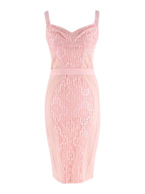 Agent Provocateur Pink Stretch Mesh & Lace Quinn Bustier Dress