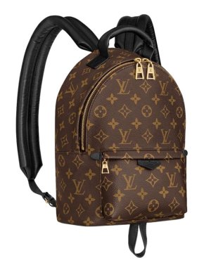 Louis Vuitton Monogram Palm Springs PM Backpack