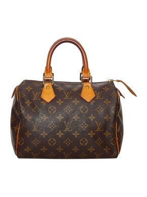 Louis Vuitton Monogram canvas Speedy 25 bag