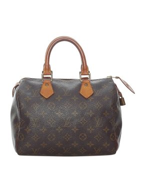 Louis Vuitton Monogram canvas Speedy 25 bag
