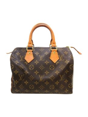 Louis Vuitton Monogram canvas Speedy 25 bag