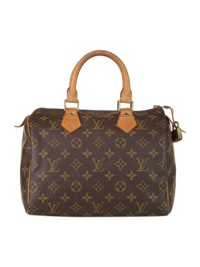 Louis Vuitton Monogram canvas Speedy 25 bag