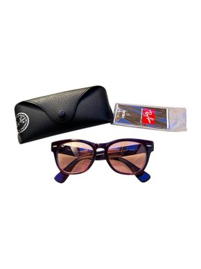 Ray-Ban Laramie Special Series Sunglasses