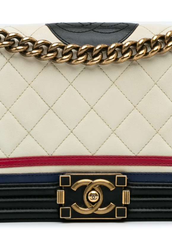 Chanel Multicolour Medium Boy Bag