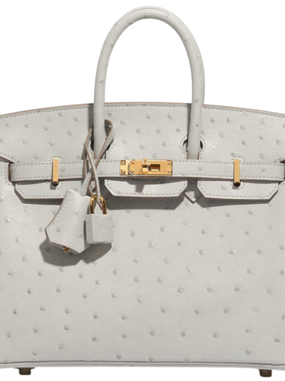 Hermes Hermès HSS Autruche Gris Perle Birkin 25 With Gold-tone Hardware