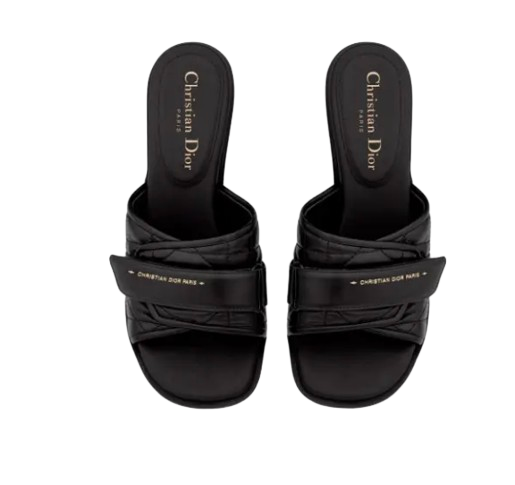Dior Black Diorrevolution Mules