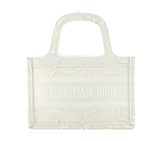 Dior Mini White Camo Canvas  Book Tote