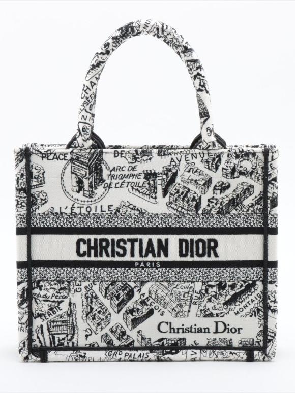Dior Small Canvas Book Tote