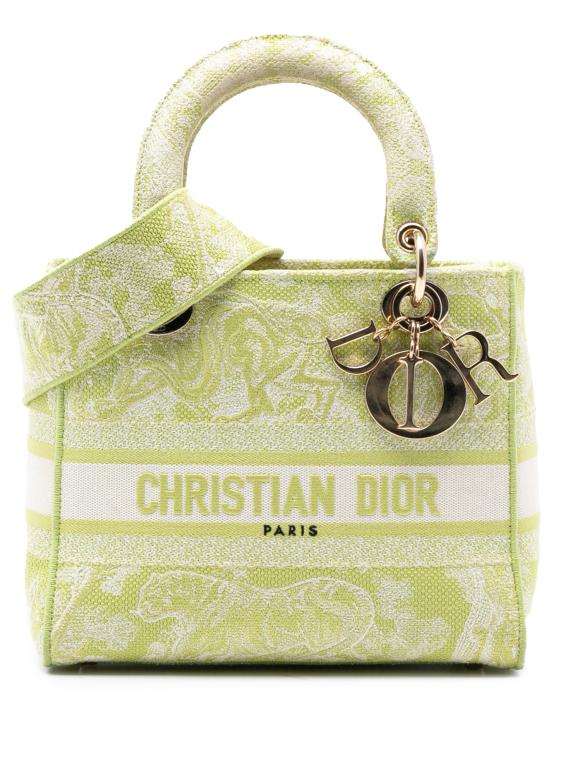 Dior GreenMedium Embroidered Canvas Toile de Jouy Lady D Lite