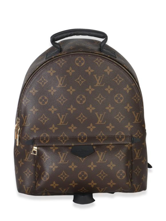 Louis Vuitton Coated Canvas Palm Springs MM