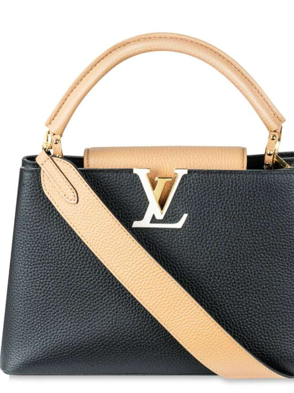 Louis Vuitton Taurillon Capucines PM Bag
