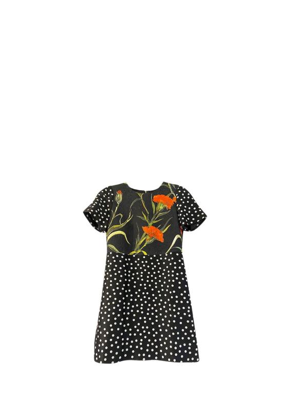 Dolce & Gabbana Floral & Polka Dot Print Dress