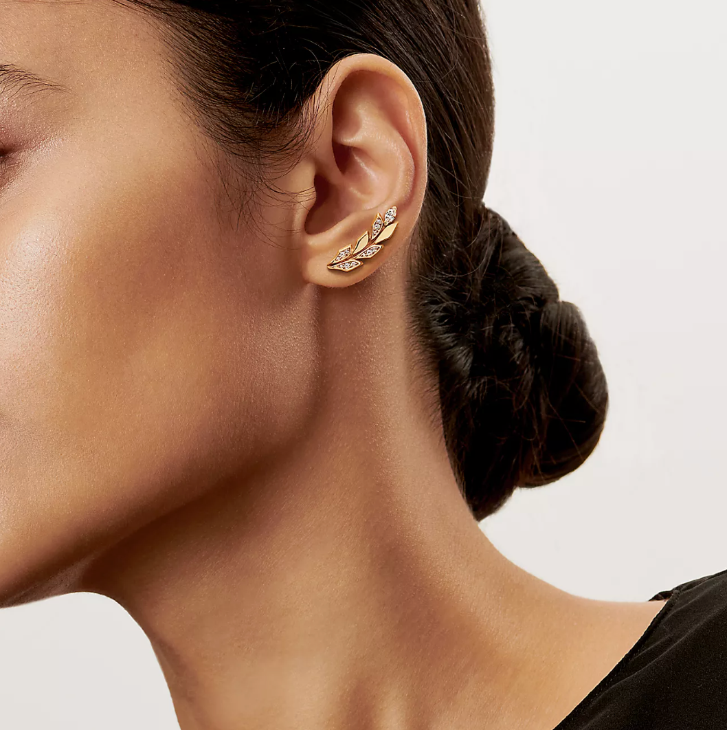 Tiffany & Co. Victoria Vine Climber Earrings Hardly Ever Worn It